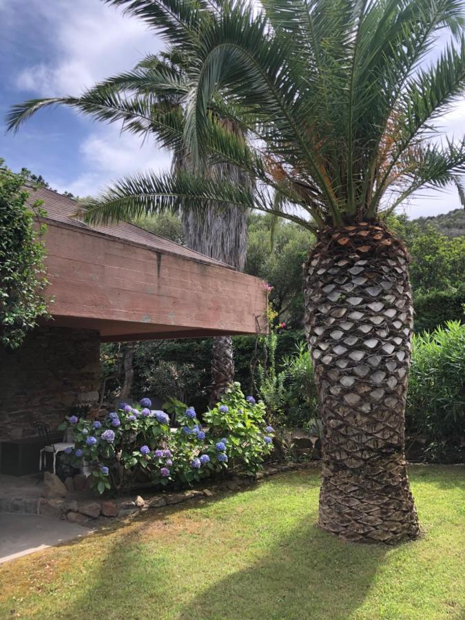 Villa 4 Porto Rotondo Εξωτερικό φωτογραφία