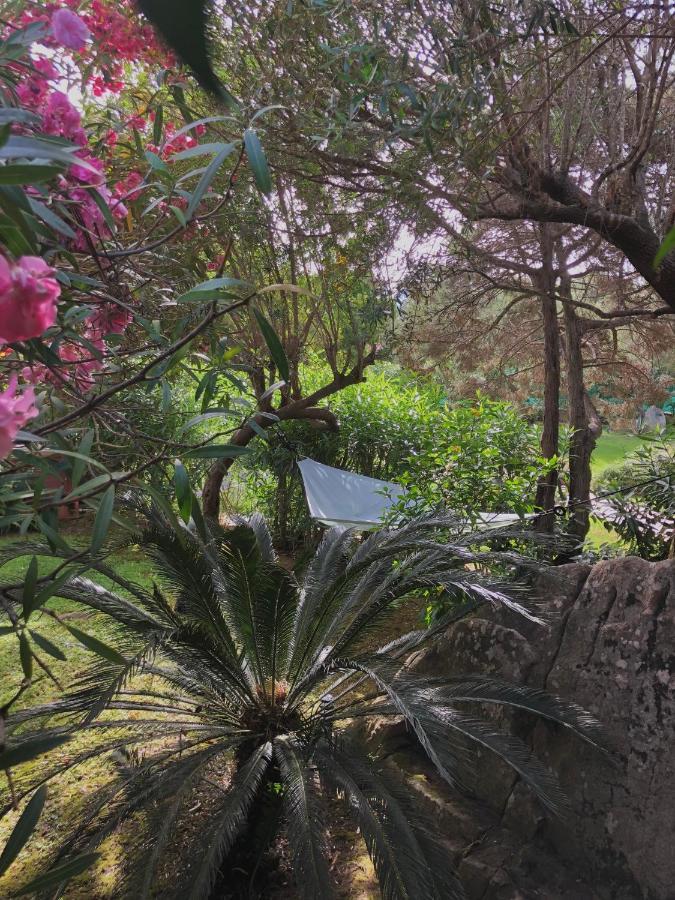 Villa 4 Porto Rotondo Εξωτερικό φωτογραφία
